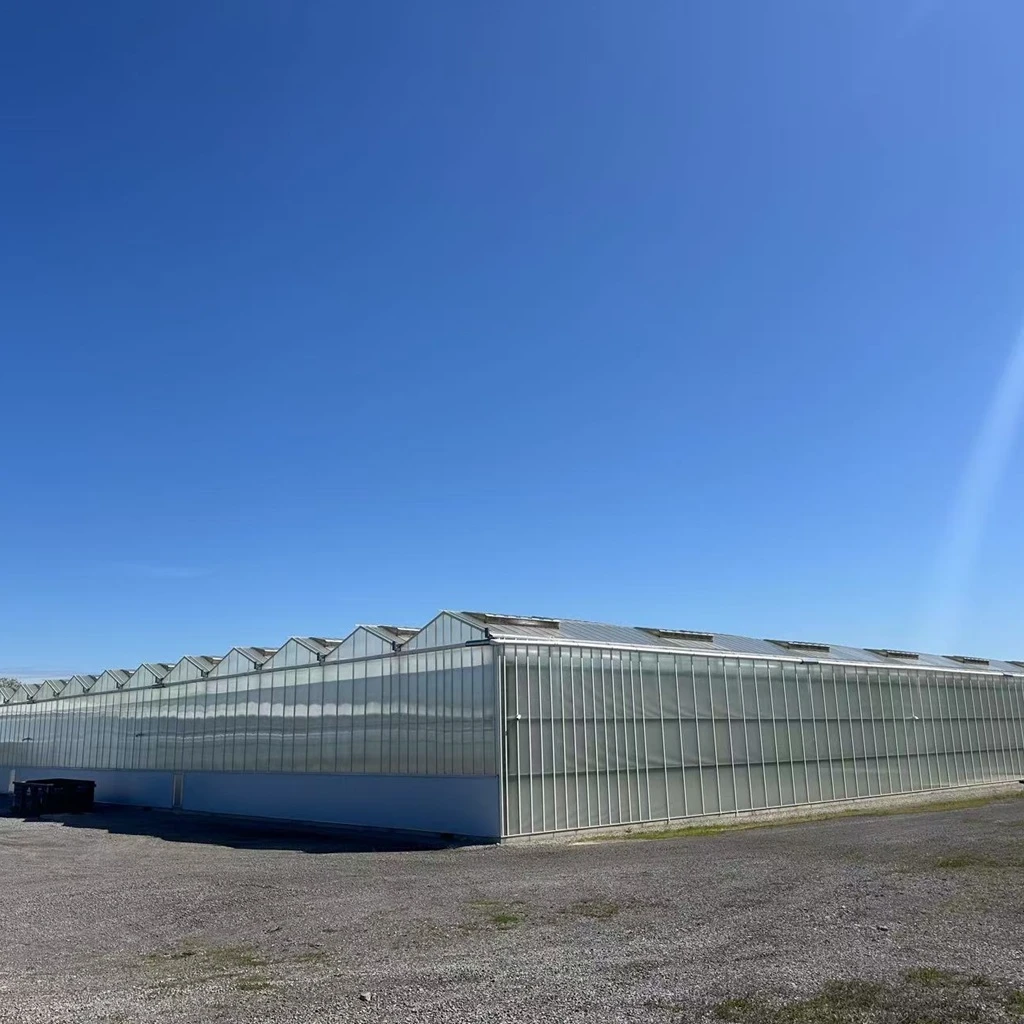 Mushroom farm construction